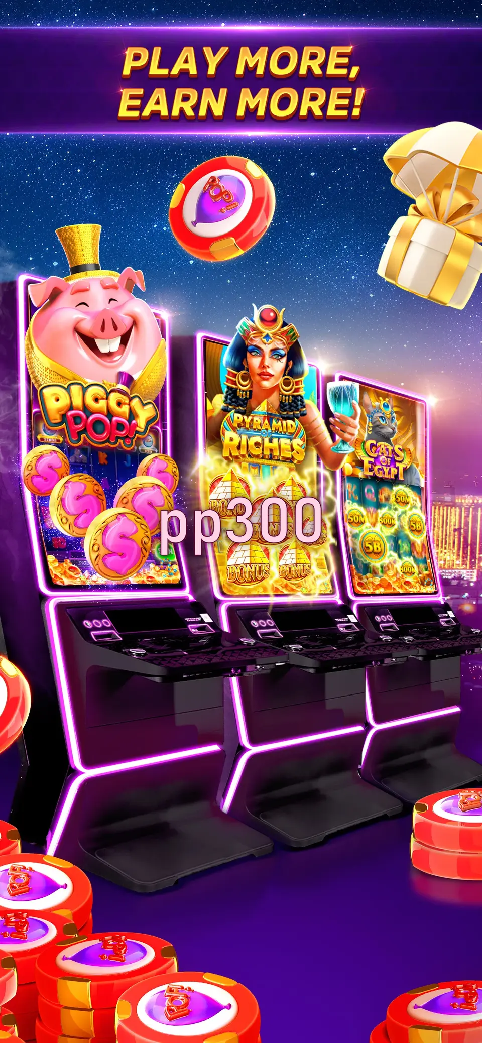 pp300 Login
