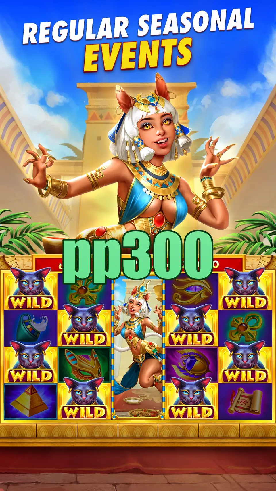 pp300 Login